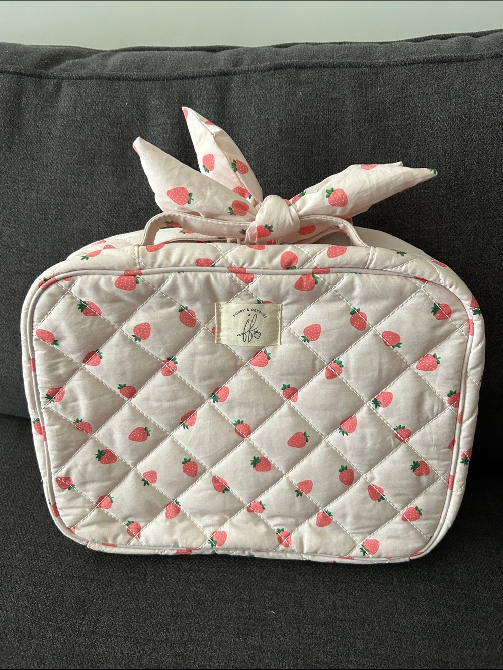 🍓Poppy & Peonies x Fallon Strawberry Hook-Me-Up Cosmetic Case🍓